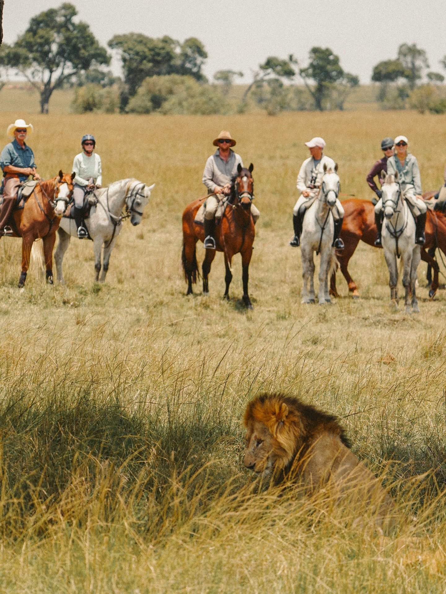 Phone frames at @offbeatridingsafaris