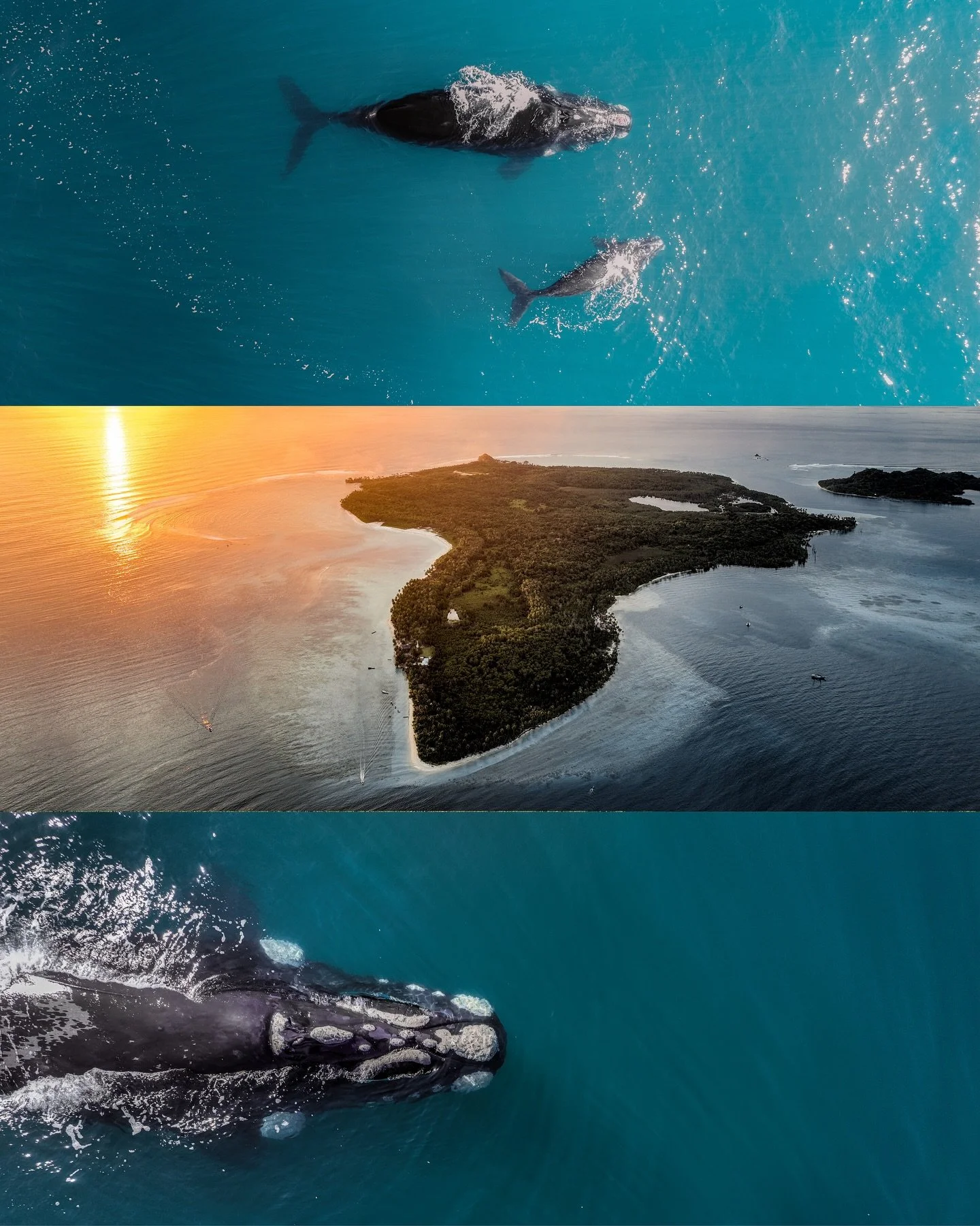 Lost in shades of blue &lsquo;