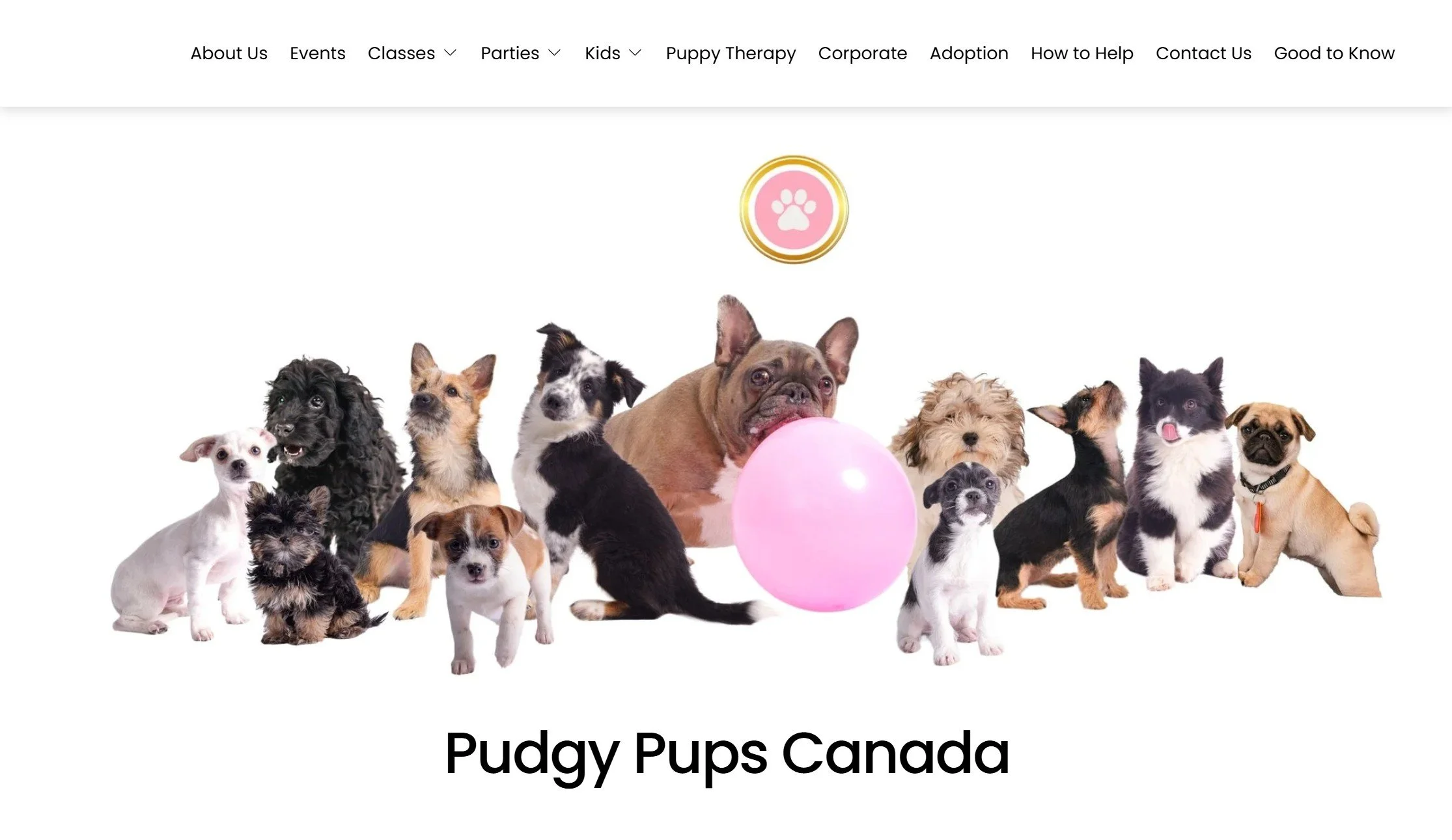 Building the Pudgy Pups Website: Turning a Unique Mission into a Clear Digital Experience