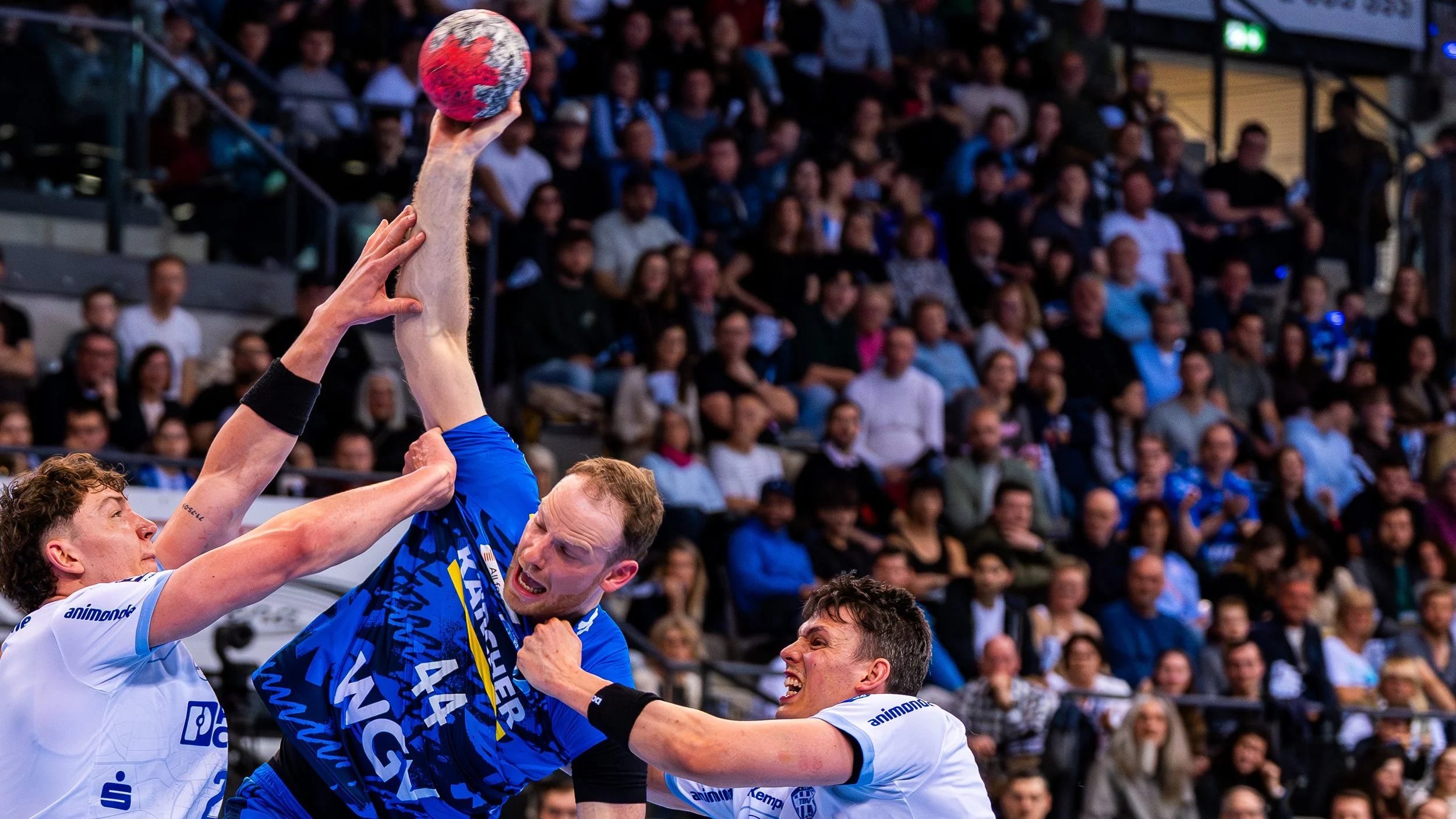Handballspiel mit Spielern, die um den Ball kämpfen, im Publikum bei einem Spiel.