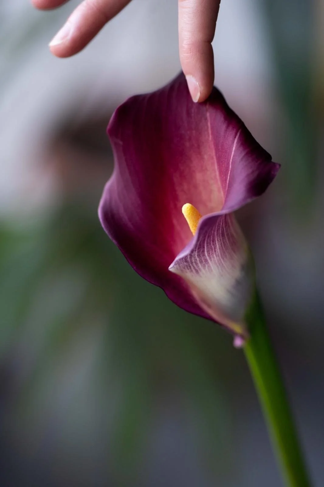 Die Kunst der Berührung