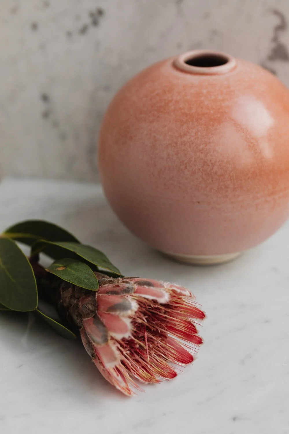 Eine runde, rosa-tonierte Vase neben einer Blume mit roten Blüten und grünen Blättern auf einem weißen Untergrund.