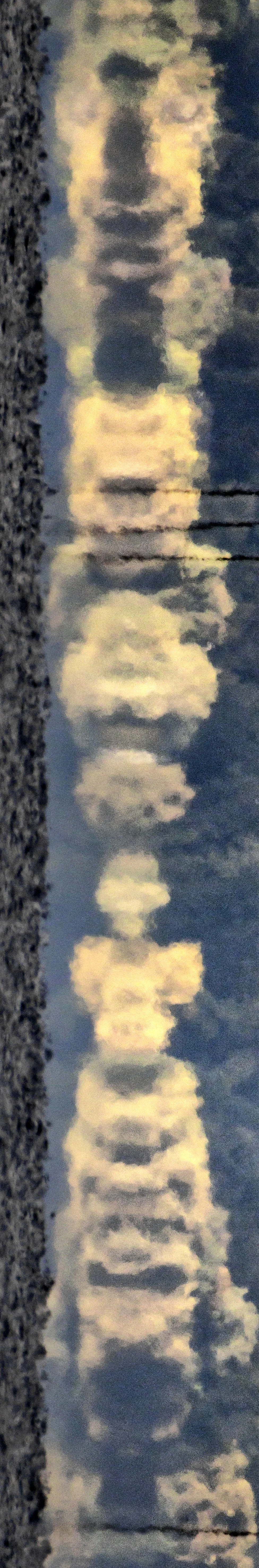 FL251005C.jpg