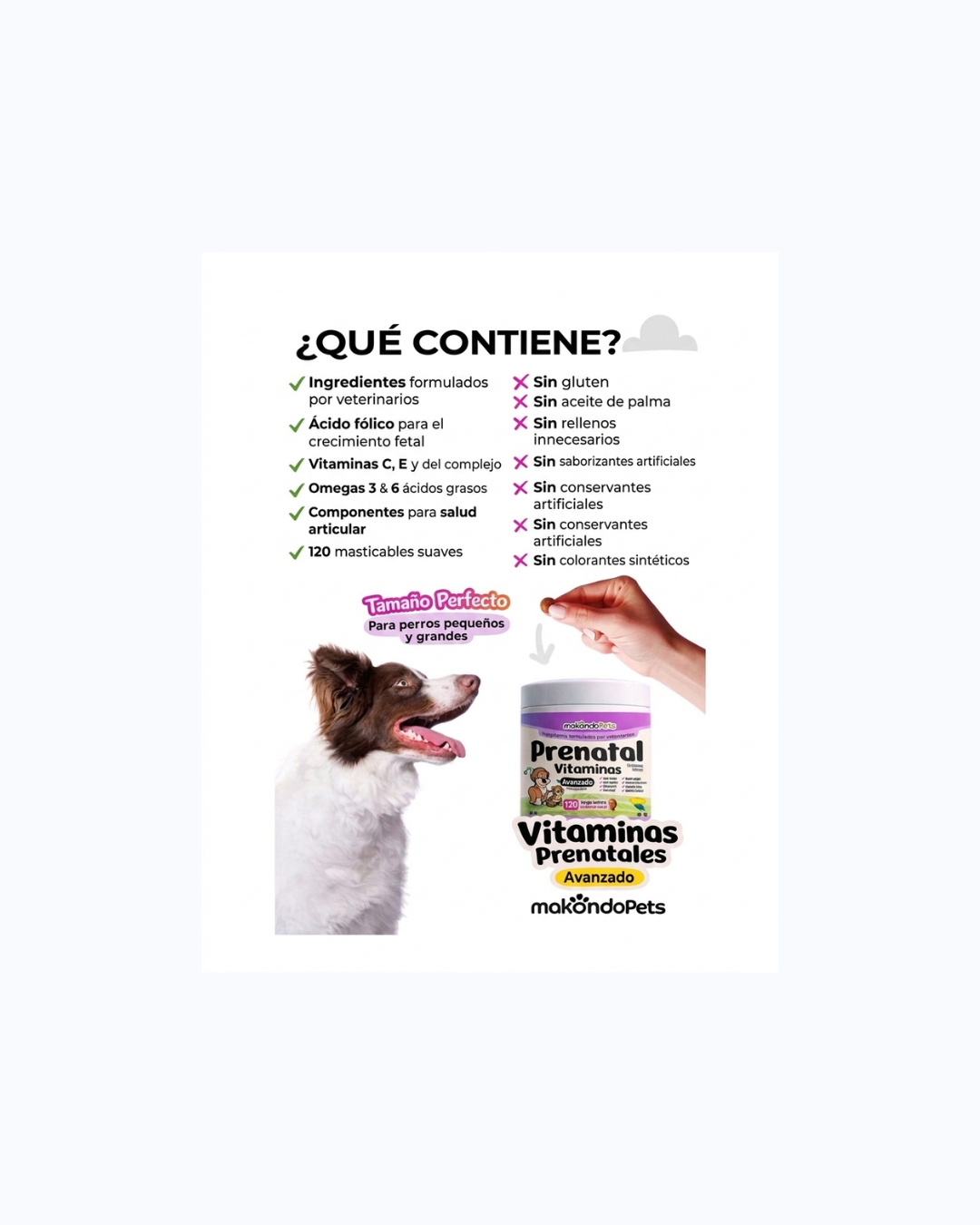 Diseño sin título (5).png