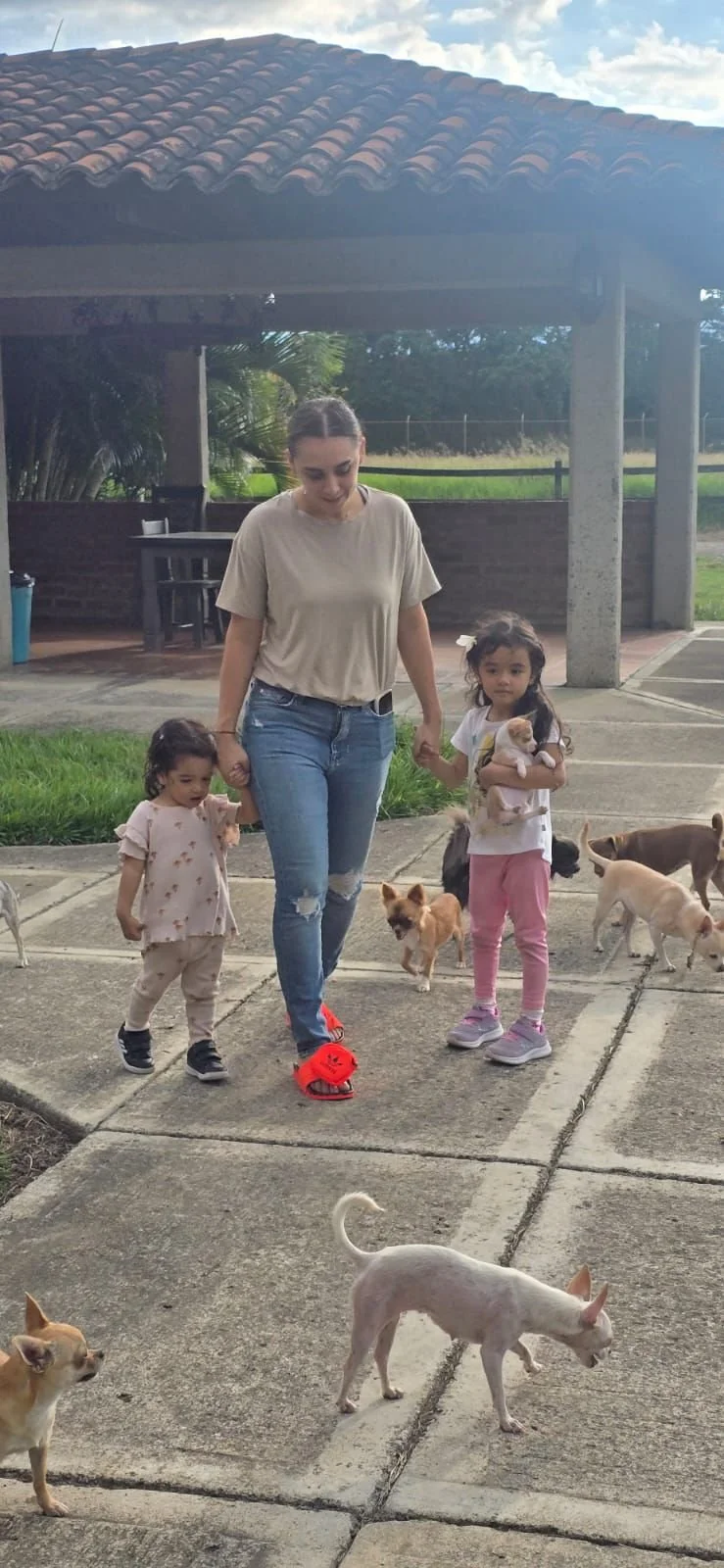 Mujer joven paseando con dos niñas y varios perros pequeños en una área exterior con pavimento y un pabellón de techo de tejas.