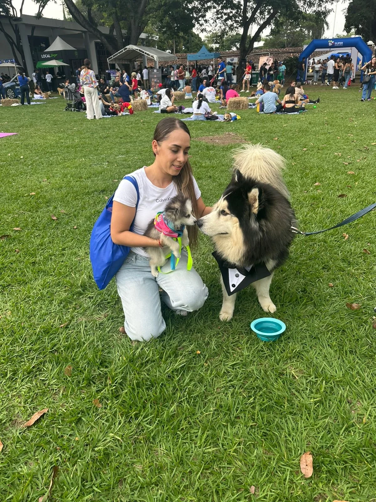Mujer con dos perros en un festival en un parque, con muchas personas y puestos en el fondo