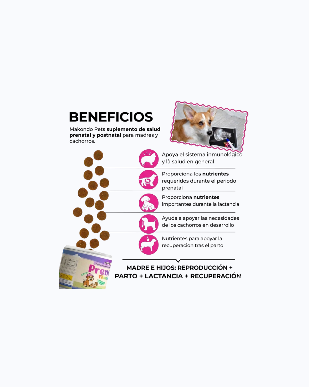 Diseño sin título (4).png