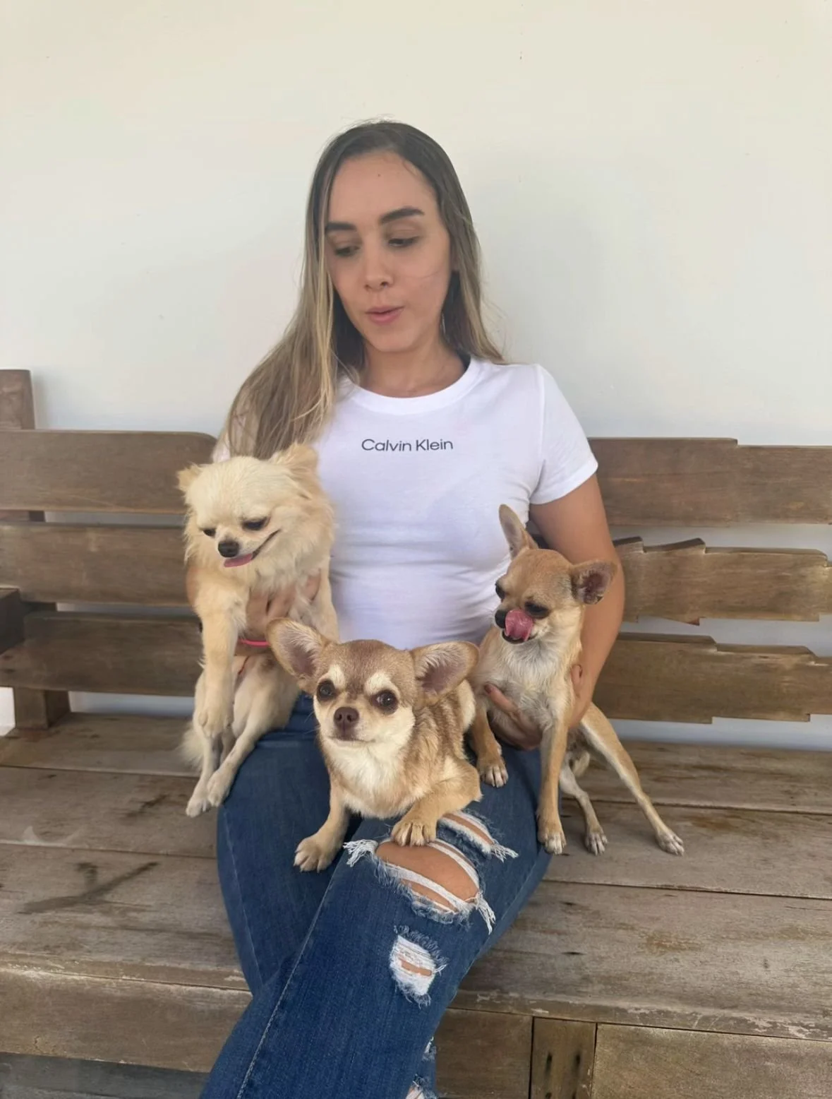 Dueña de thepuppyhouse.Colombia, y sus chihuhuas