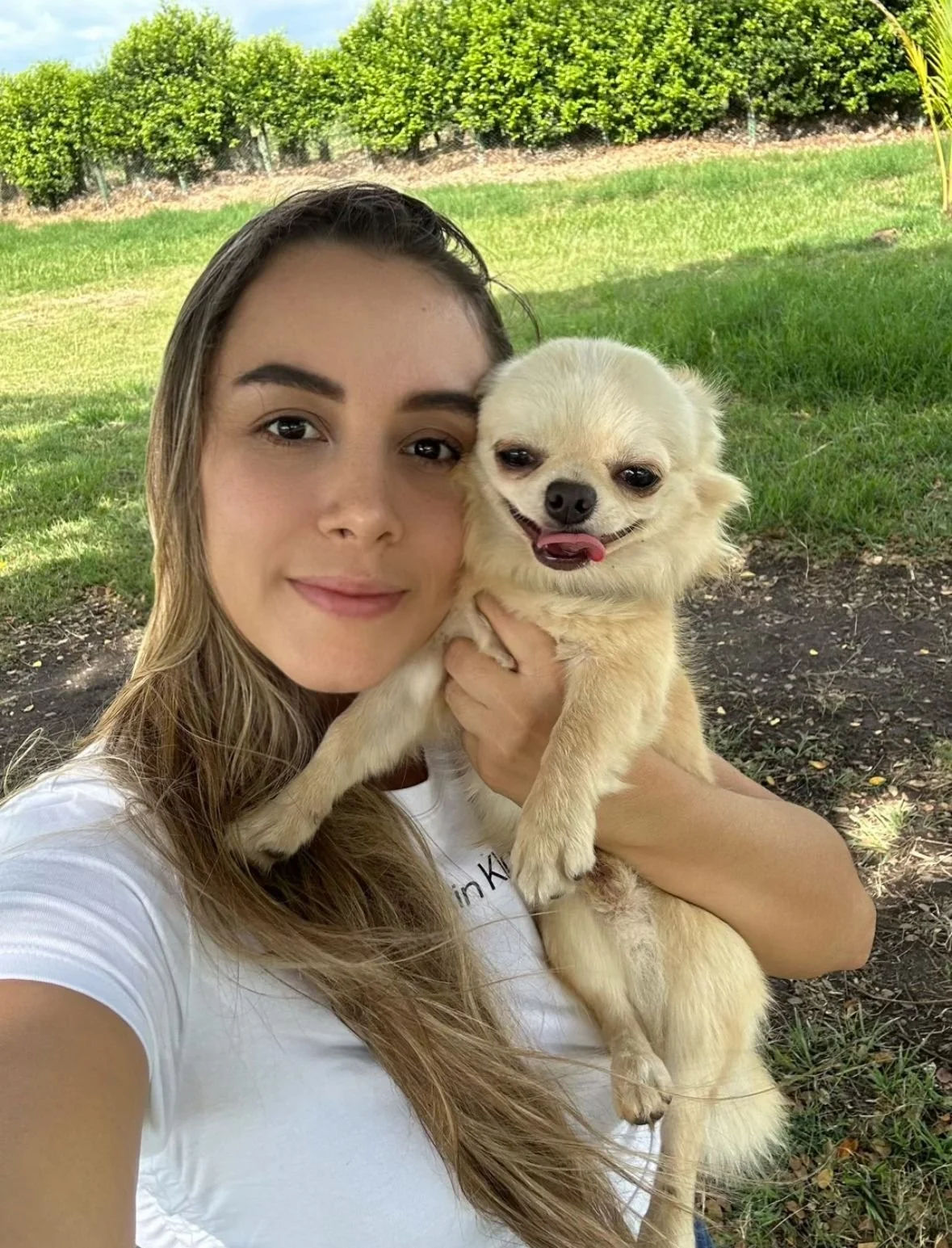 Una mujer sostiene a un perro pequeño chihuhua y de color crema en un parque con árboles verdes y césped.
