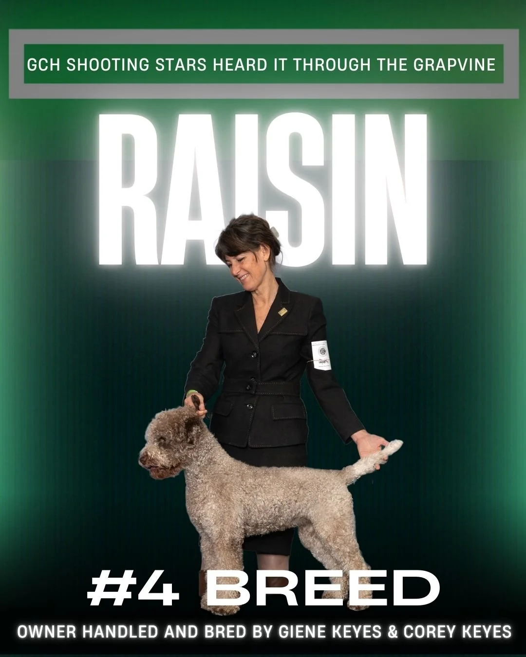 A woman in a black suit holding a curly-haired dog at a dog show with a green background and large white text reading 'RAISIN'.