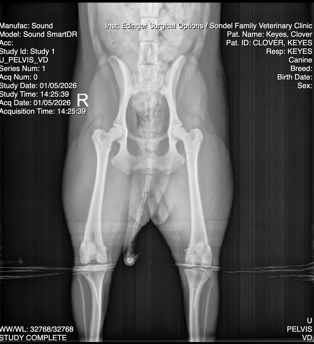 Clover hip xray Sondal 010526 Very Good.png