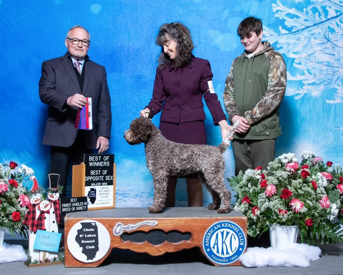 A dog show award ceremony featuring a woman holding a brown curly-haired dog on a stand, with a man and a young man standing beside them, surrounded by festive decorations and flowers.