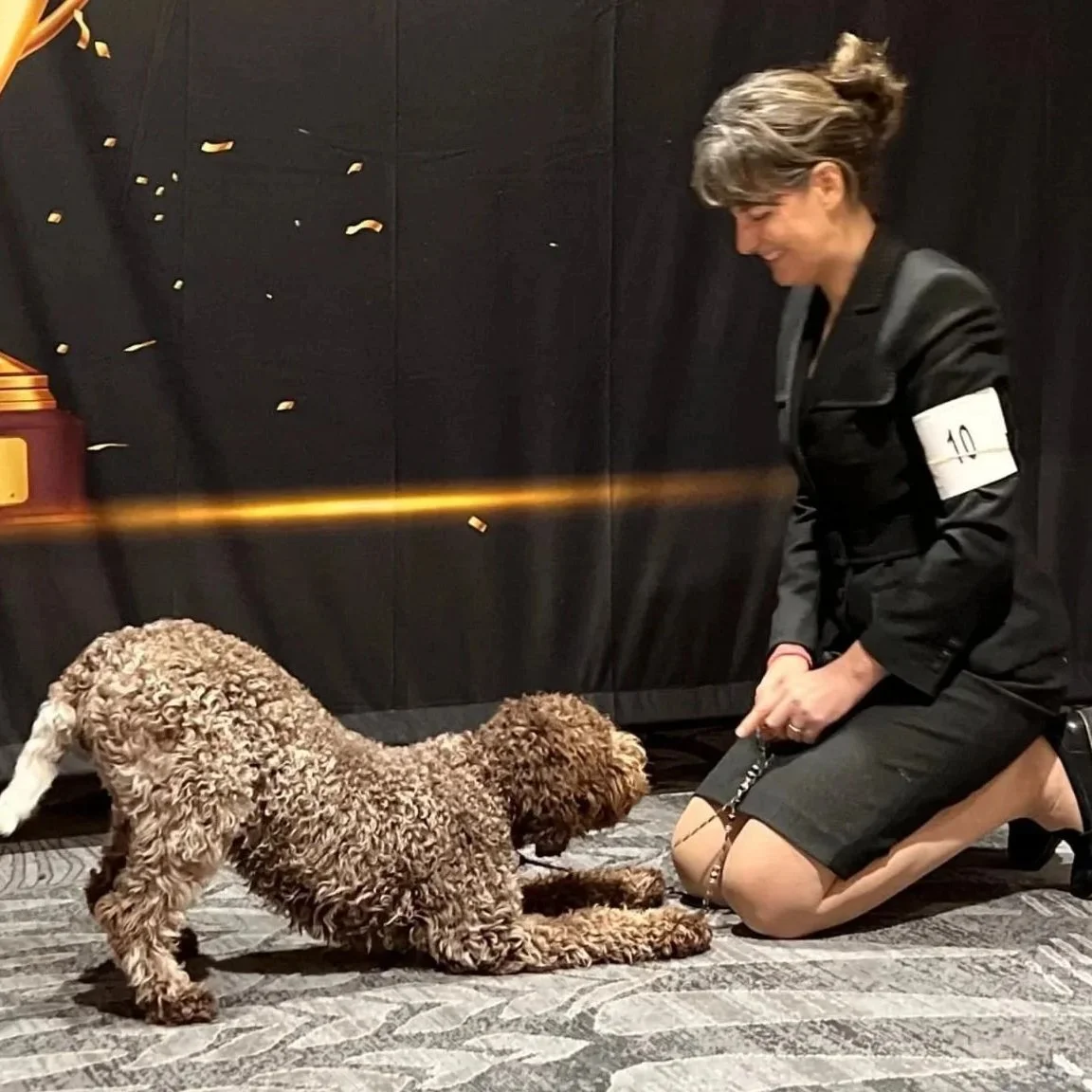 A woman in a black blazer and skirt, with a number armband, kneeling on the floor and holding the leash of a curly-haired dog during a dog show. The backdrop features a large trophy and the logo for the Great American Dog Show.