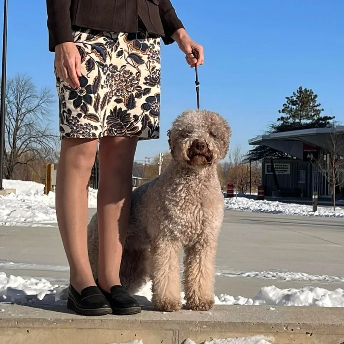 A woman in a black blazer and floral skirt stands outdoors on a snowy day, holding a leash attached to a curly-haired dog, with clear blue sky and some trees and buildings in the background.