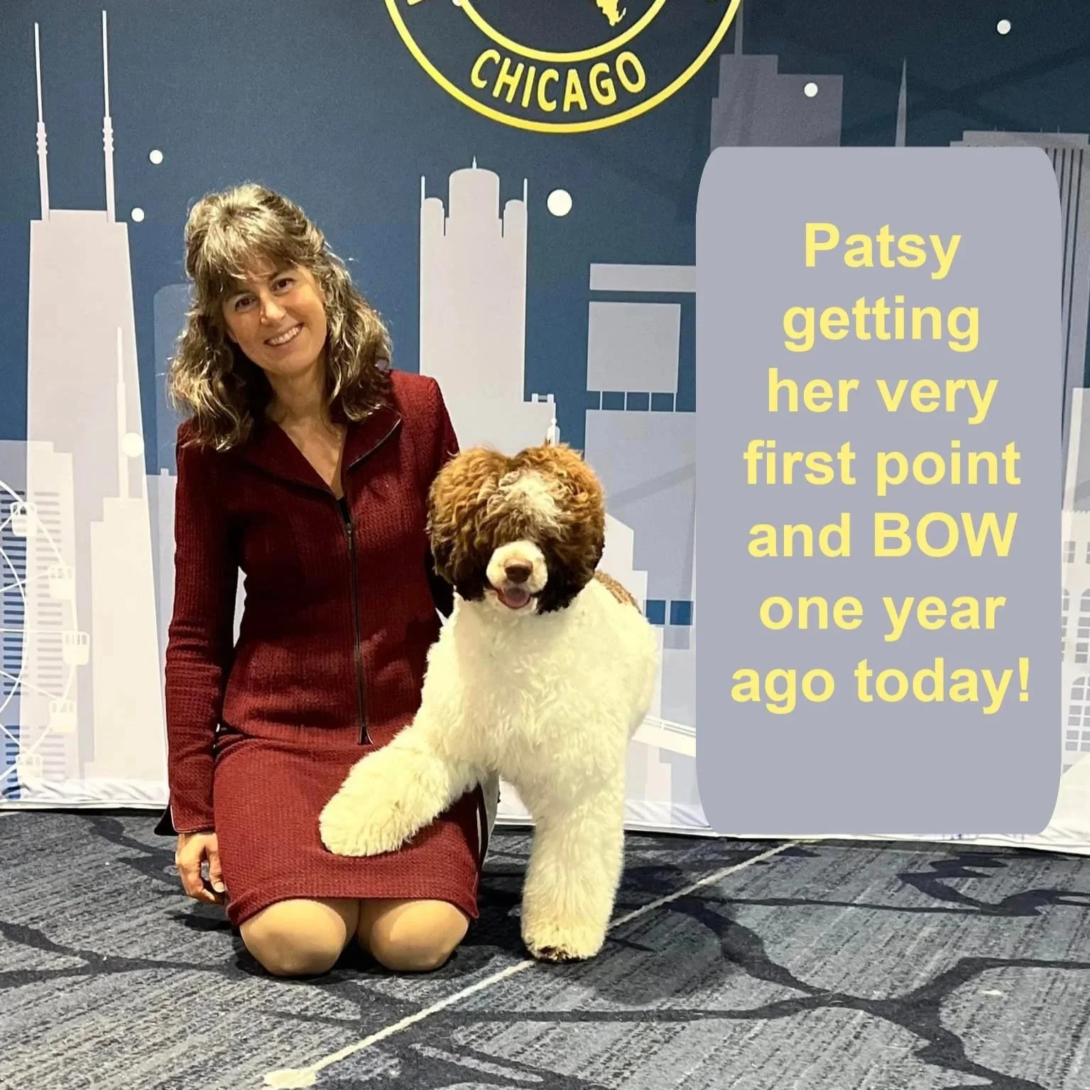 A woman kneeling next to a large, fluffy dog at an indoor event with a Chicago skyline backdrop and the International Kennel Club logo. There is a gray speech bubble with yellow text saying, "Patsy getting her very first point and BOW one year ago to