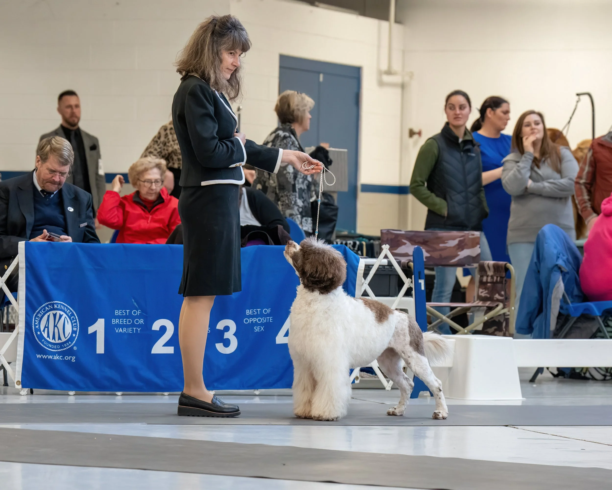 A woman in professional attire handling a dog during a dog show, with several spectators and judges in the background.