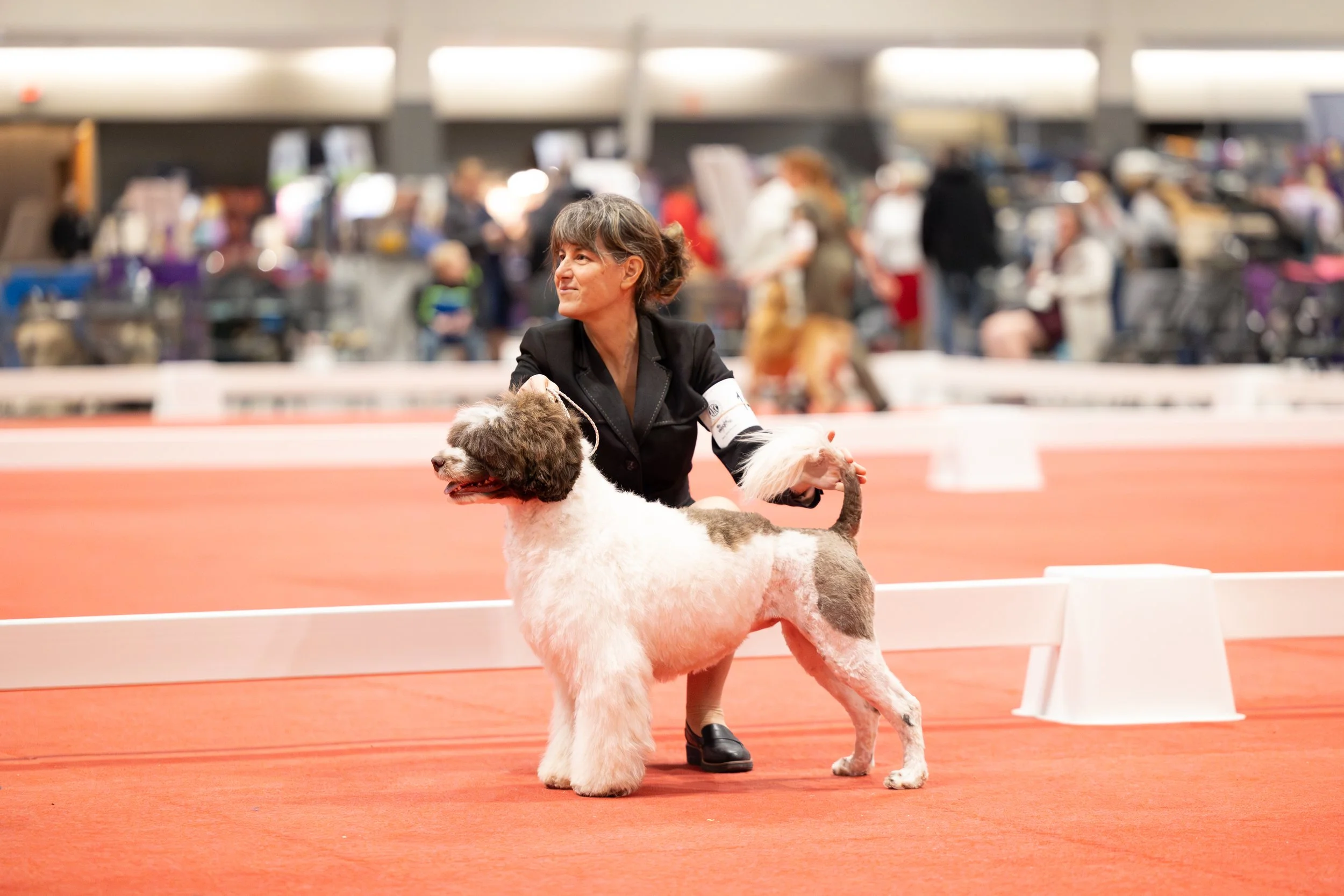A woman participating in a dog show, handling a large, fluffy dog on a red carpeted exhibition floor with people and booths in the background.
