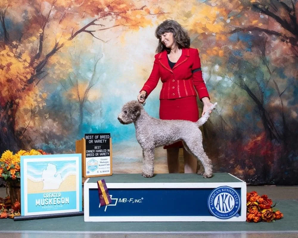 A woman in a red suit standing with a curly gray dog on a table during a dog show. The background depicts a colorful autumn scene. Signs indicate the dog's breed, 'Greater Muskegon,' and awards for best breed or variety.