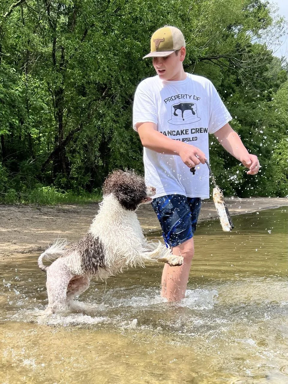 A boy in a white T-shirt and blue shorts playing with a wet, curly-haired dog in shallow water near a wooded area.