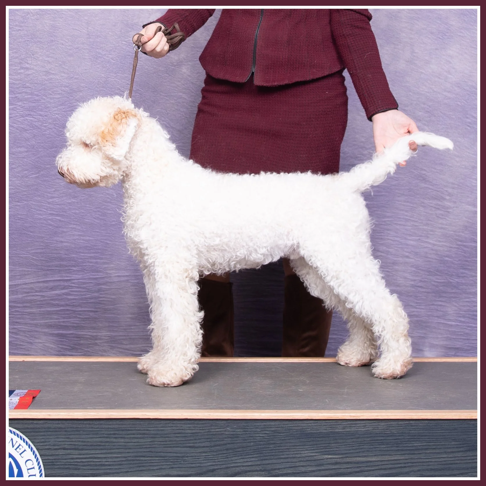 Percy Oshkosh at 7 months 0126.jpg