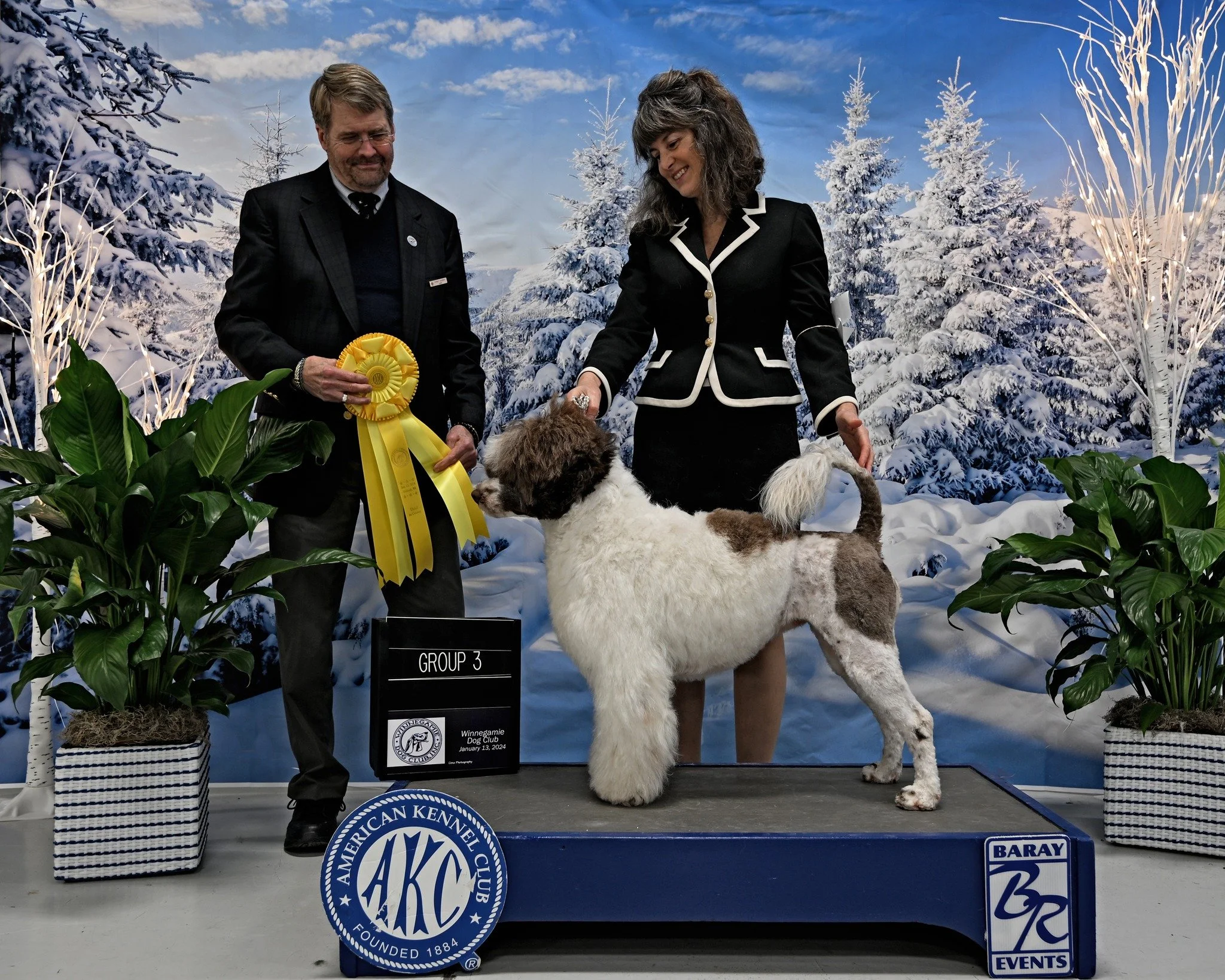 A woman and a man are posing with a dog on a platform at a dog show, with decorative snow-covered trees and plants in the background. The man is holding a yellow ribbon, and the dog is standing with an attentive pose.