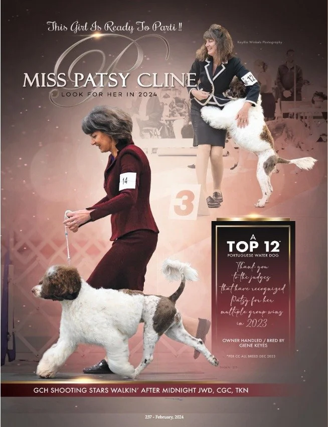 Photograph of a dog show with two women and their Portuguese Water Dogs. One woman is standing with her dog on a podium, the other is walking her dog. The image includes text praising the dogs for winning awards in 2023 and mentions the event and dat
