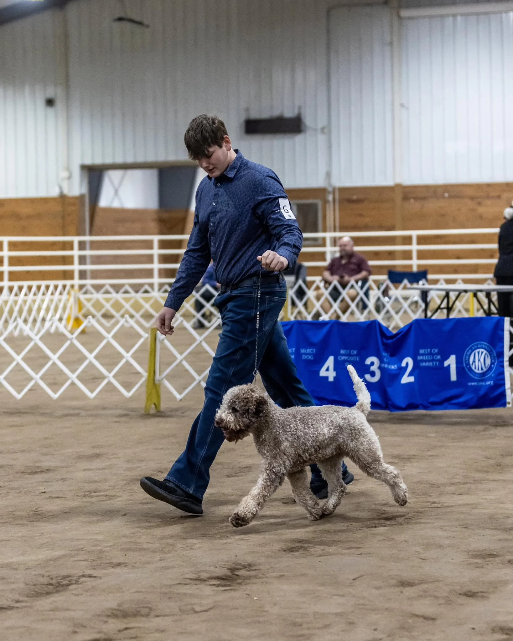 Young man leading a curly-haired dog on a leash in an indoor dog show arena.
