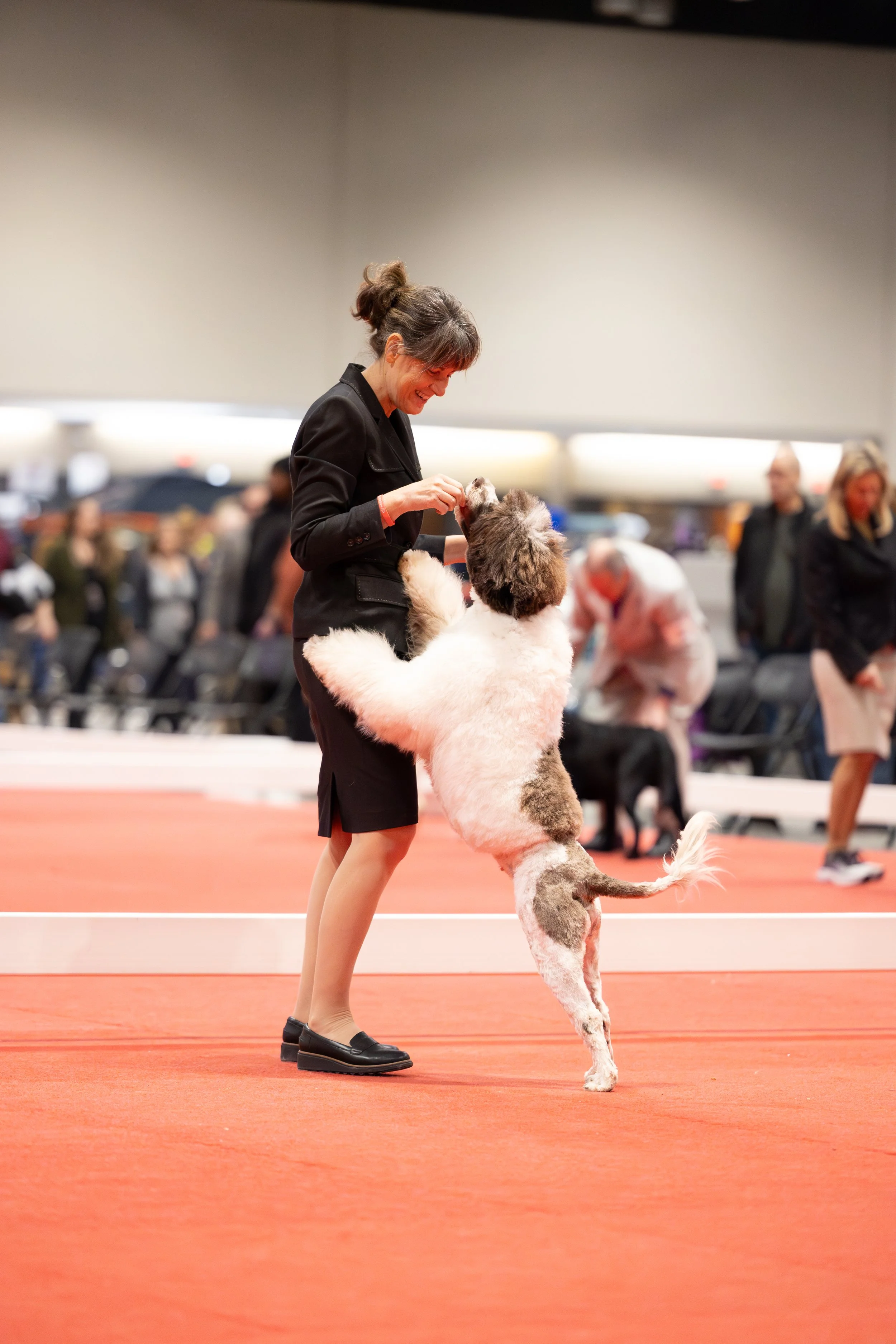 A woman in a black blazer and skirt is playing with a large, fluffy dog on a red carpeted event, with other people and dogs in the background.