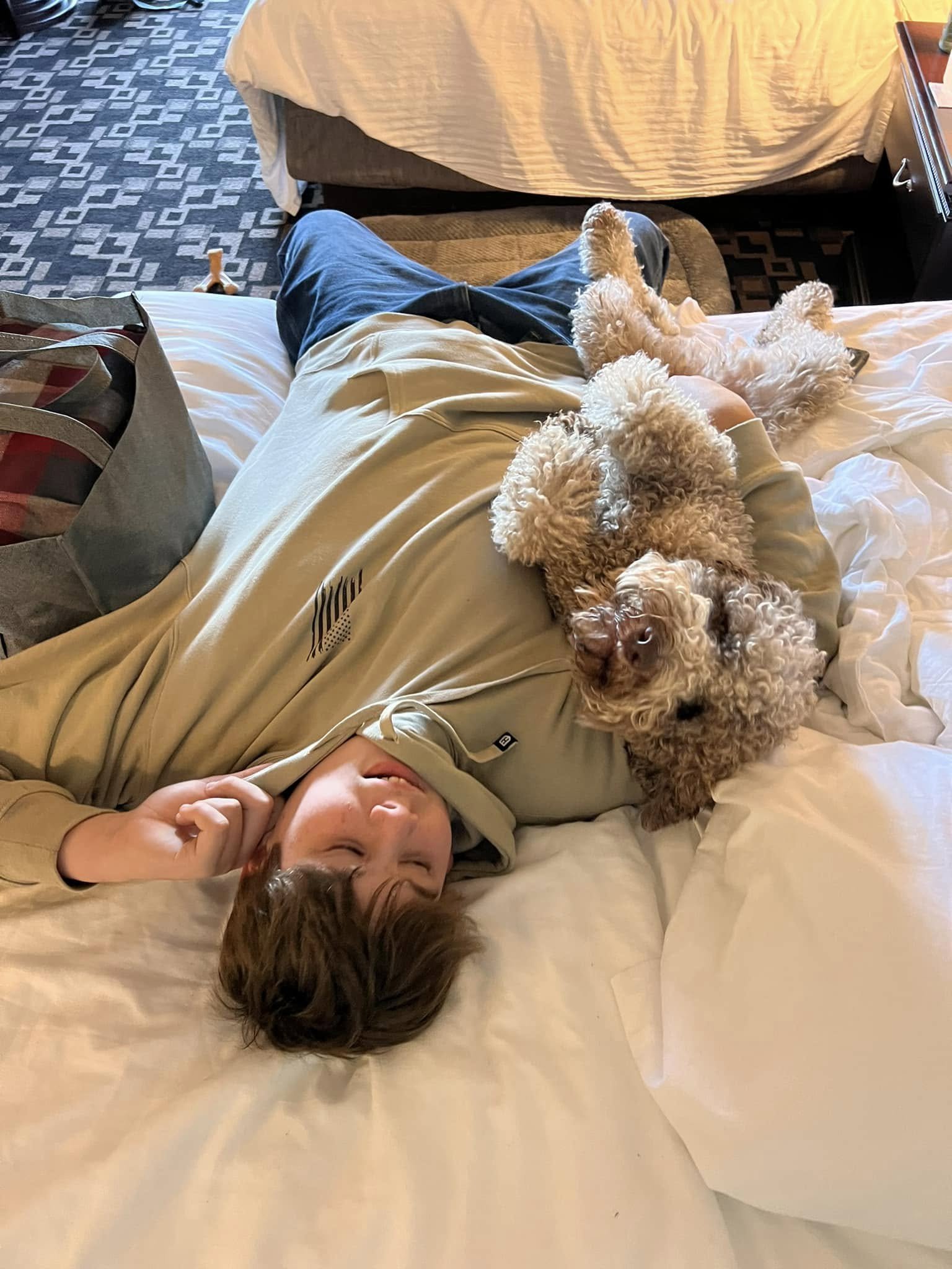 Person lying on a bed with two curly-haired dogs resting on their chest, in a hotel room with a patterned carpet and a covered bed in the background.
