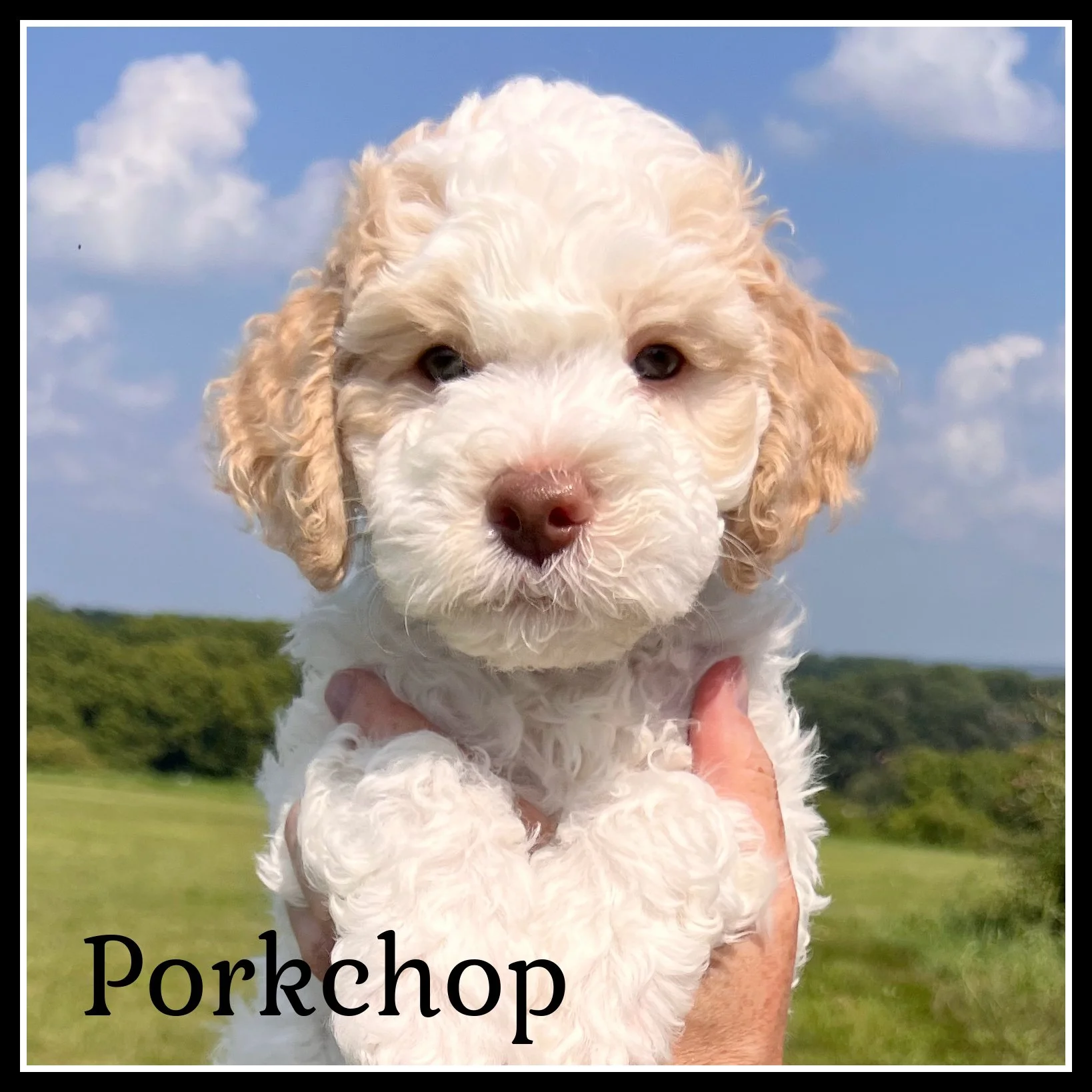 Giene Keyes Percy 3.jpg