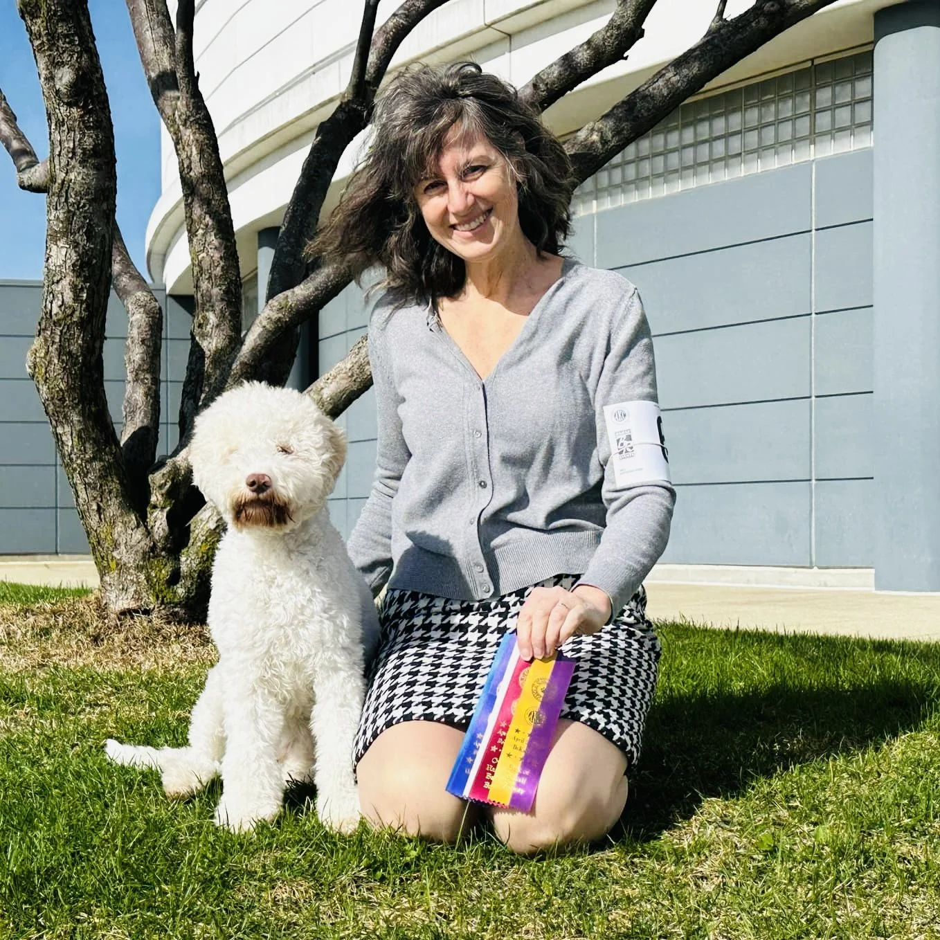 Clover Dog Show Shooting Star Lagotto.jpg