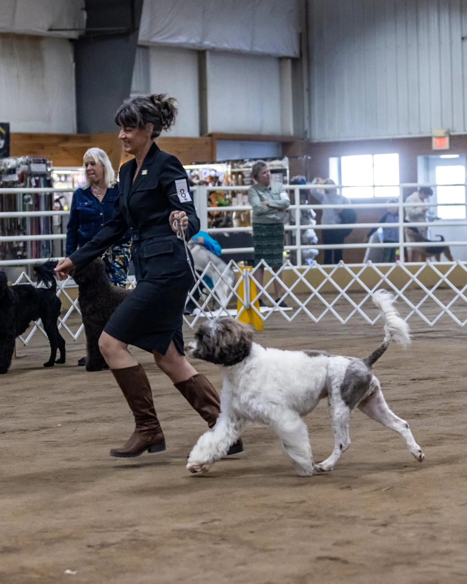 A woman leading a dog on a leash in a dog show arena, with other dogs, handlers, and spectators in the background.