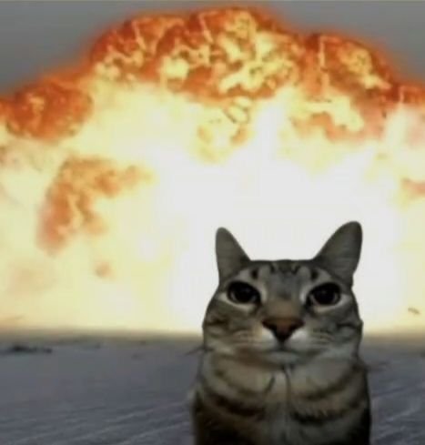 A cat with a serious expression in front of a large explosion or fire in the background.