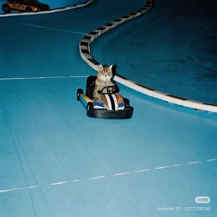 A kitten riding a small go-kart on an indoor track.