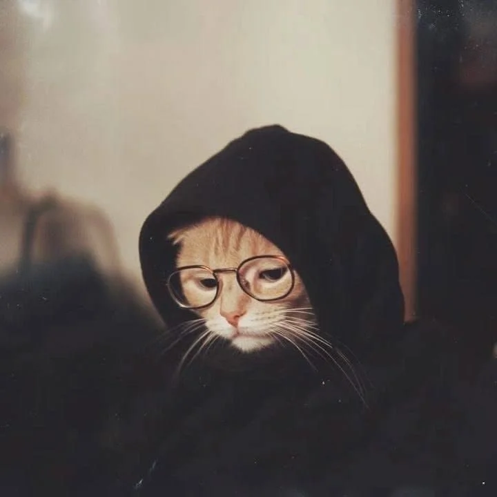 A cat wearing glasses with a black hood over its head, looking down.