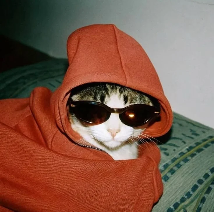 A cat wearing a red hoodie and sunglasses, sitting on a blue patterned cushion.