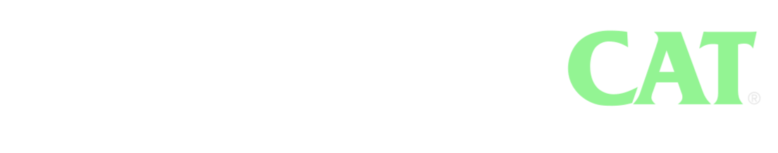 IMMORTAL CAT / Estudio Creativo y Productora de Contenidoo