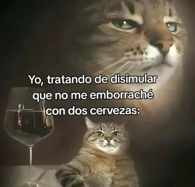 A large cat with a serious expression and a smaller cat sitting with a wine glass in front of it, overlaid with Spanish text about trying not to get drunk with two beers.