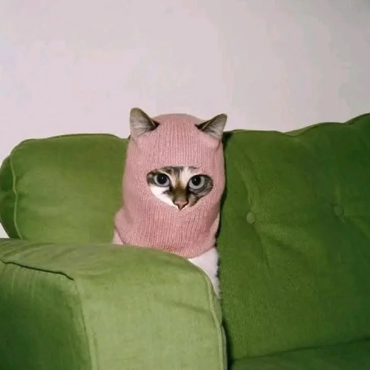 A cat wearing a pink knit hood that covers its head and ears, sitting behind a green sofa with its head peeking out.