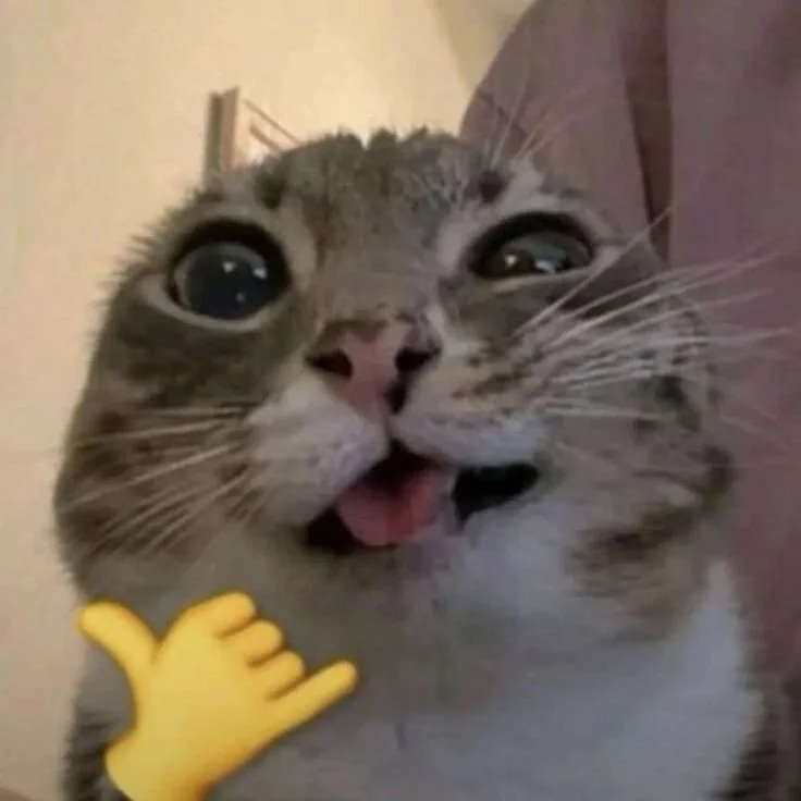 Close-up of a cat's face with wide eyes and tongue slightly out, being petted as indicated by a yellow hand emoji.