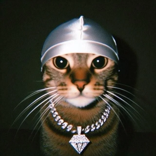 A cat wearing a silver helmet, diamond necklace, and sunglasses on its forehead.