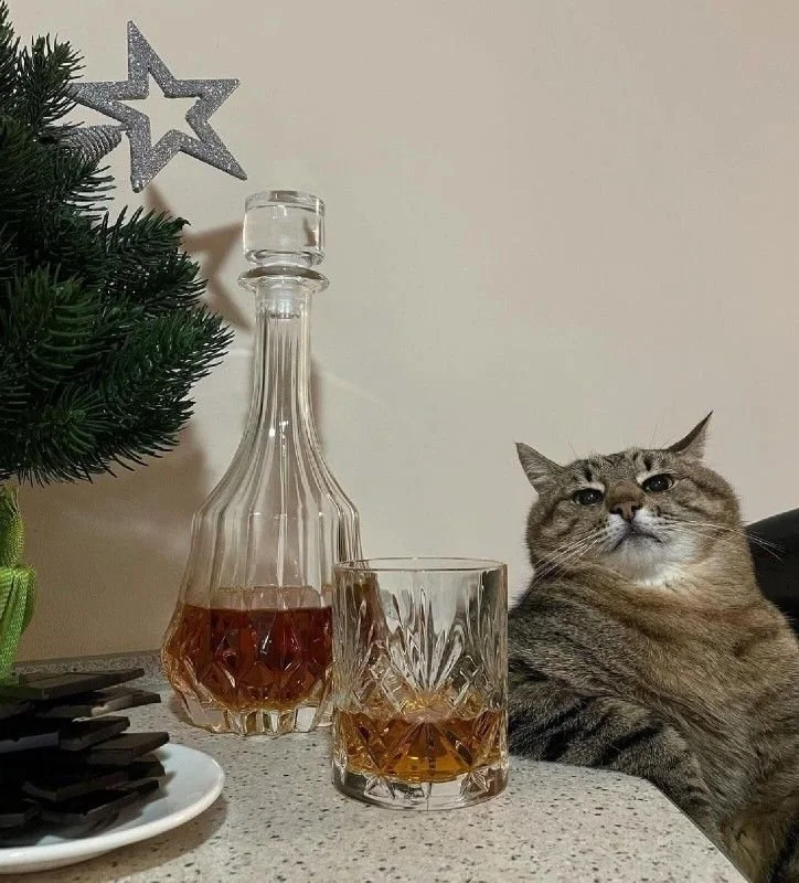 A cat sitting at a table with a glass and a decanter of whiskey, next to a small Christmas tree with a star decoration.