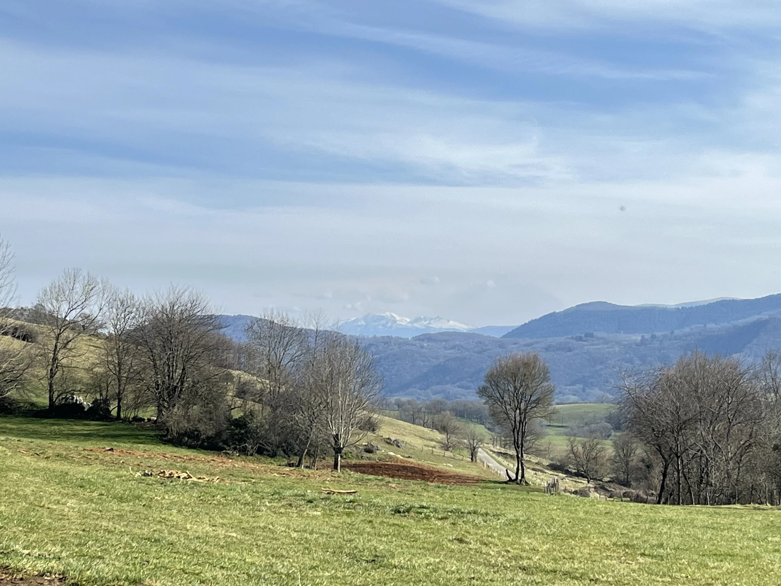 Perfect Pyrenees  for rest and retreats