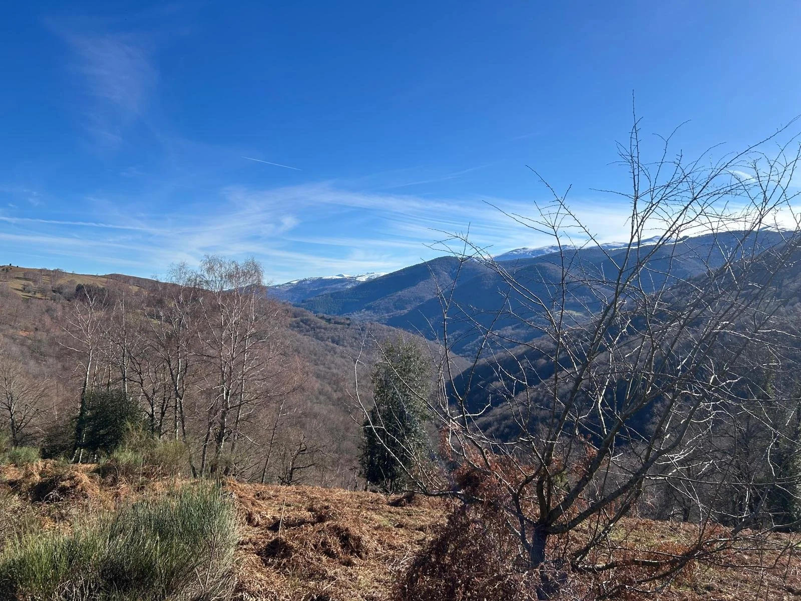 Walk to Chapelle.JPG