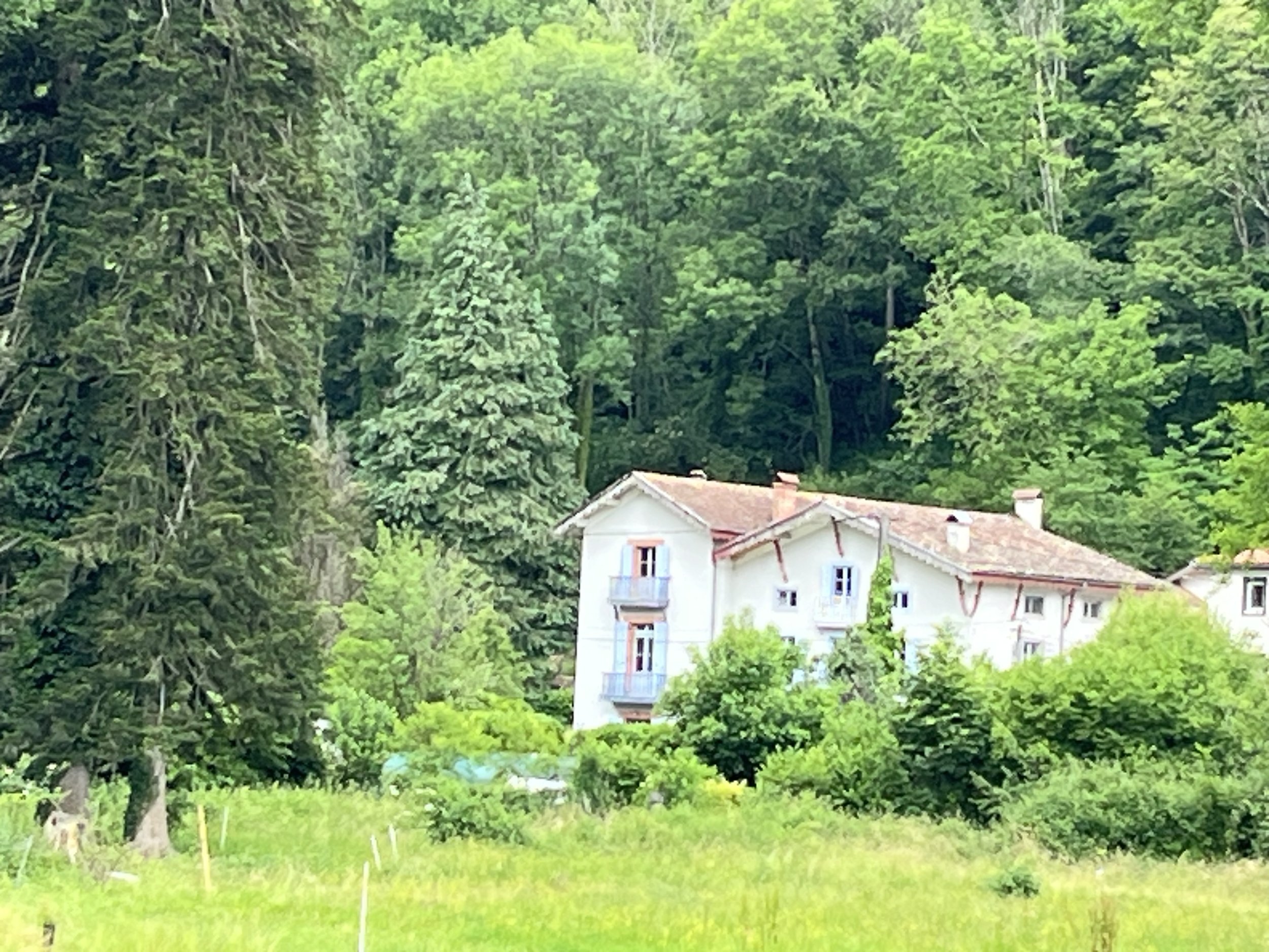 House with trees.jpg