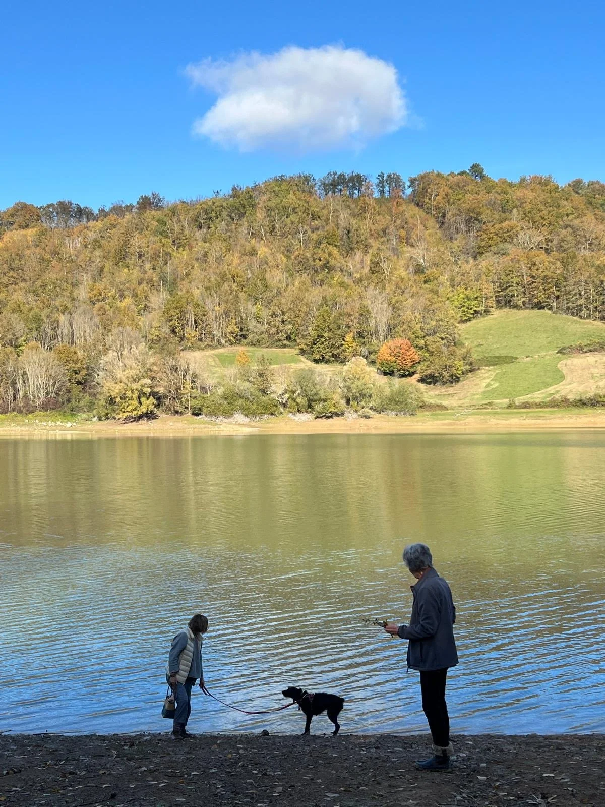 Silohettes at Lac de Mondelay.JPG