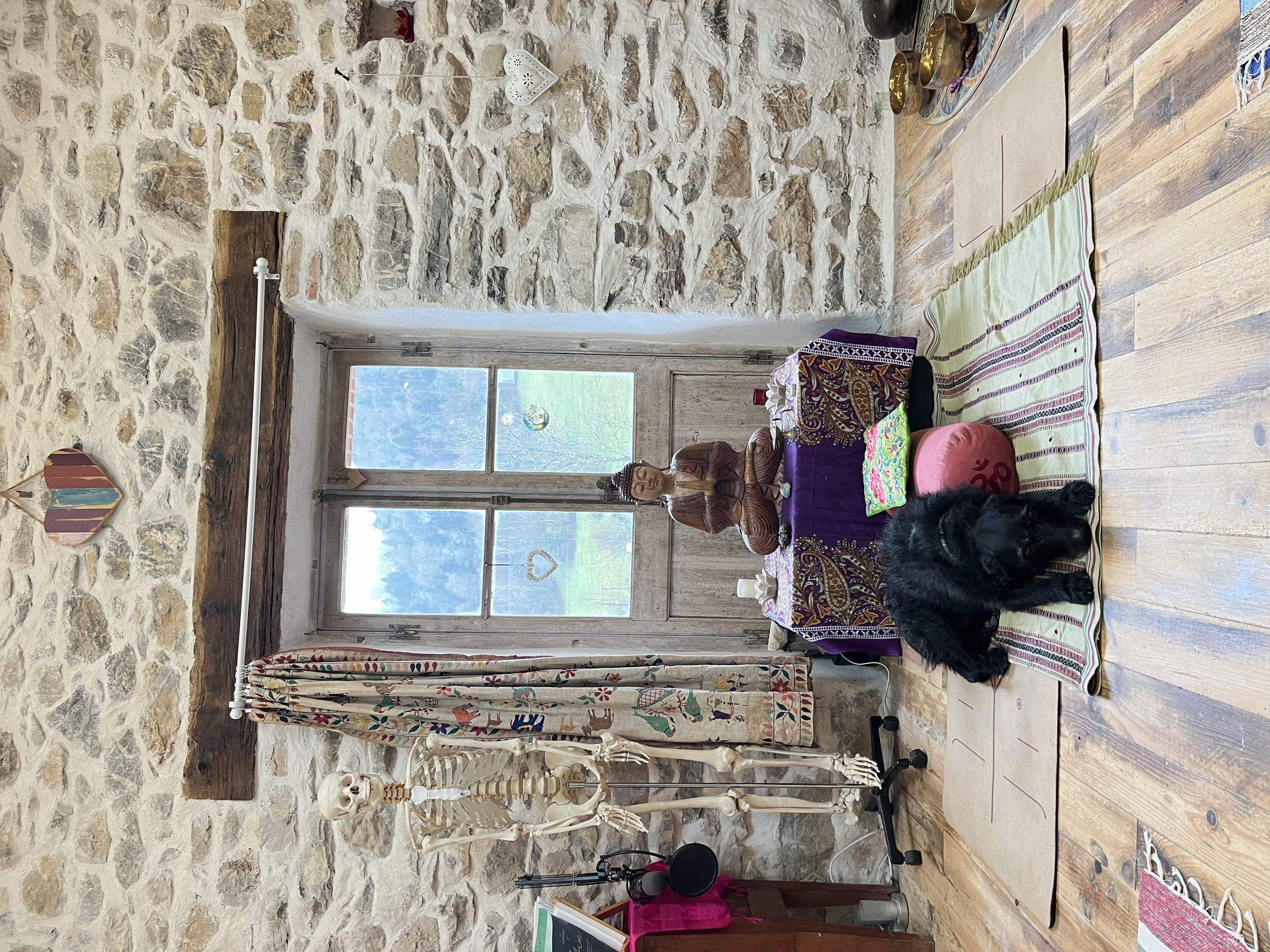 Kali (our dog) as Teacher