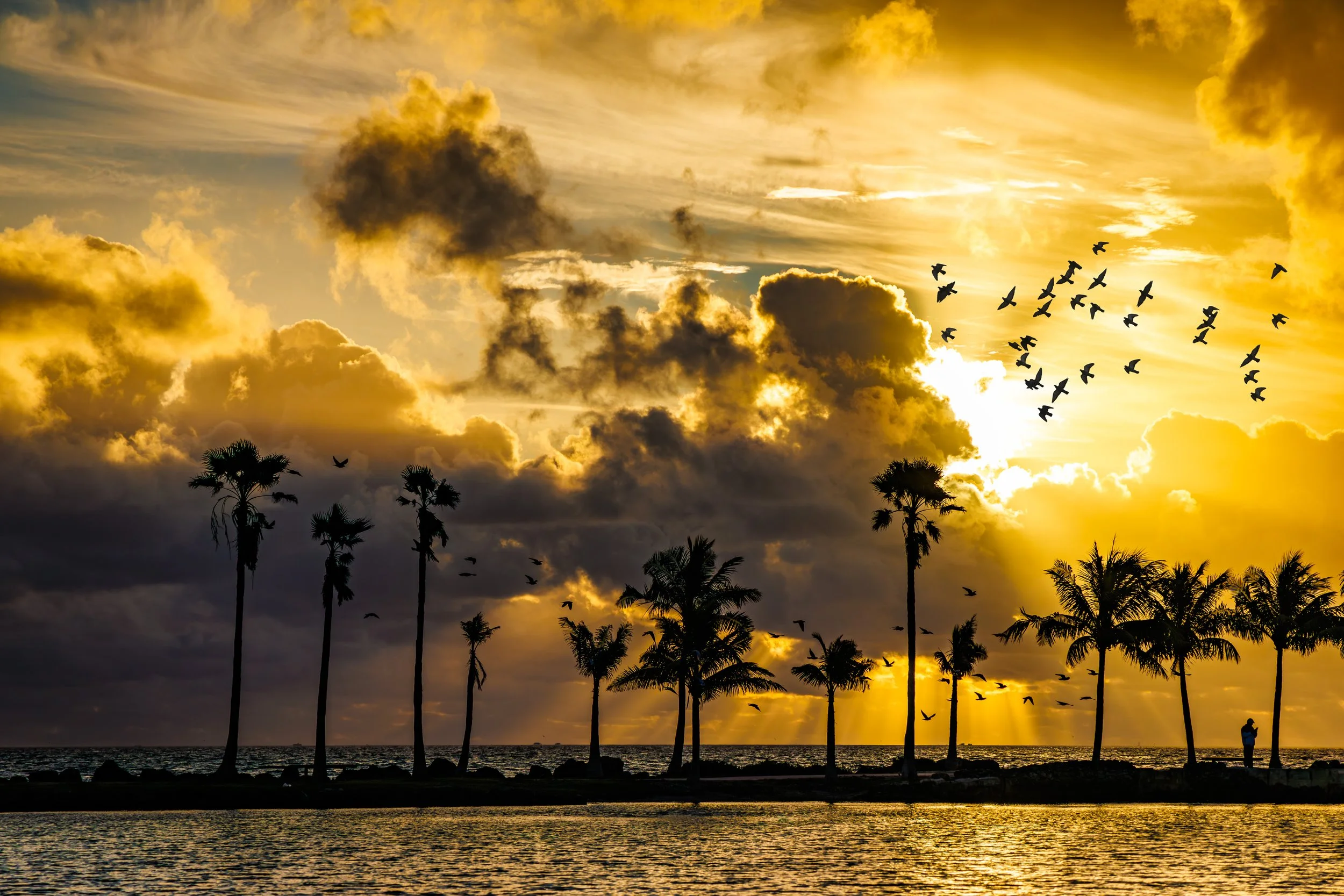 Sunrise 1 WGB jpg 8 mg.jpg