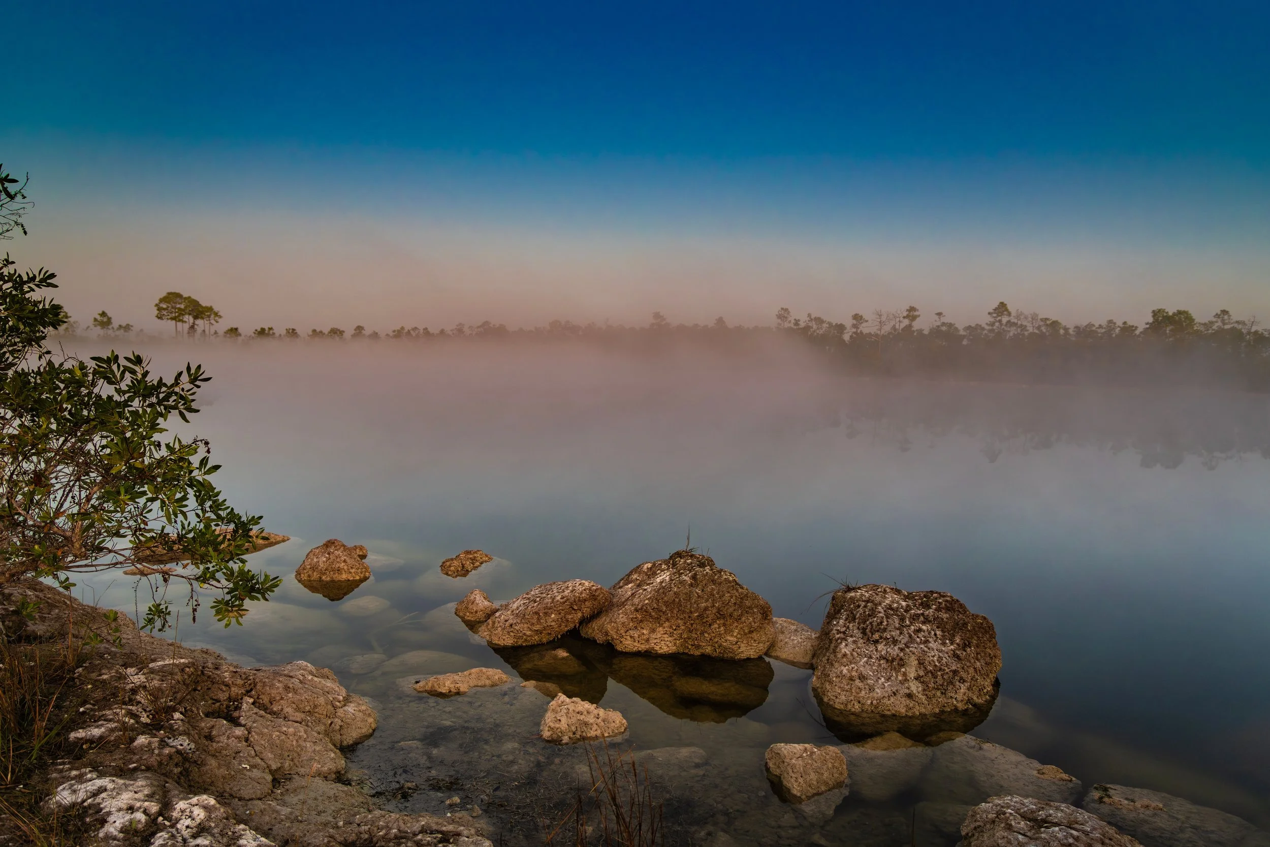 Rockrise for web.jpg