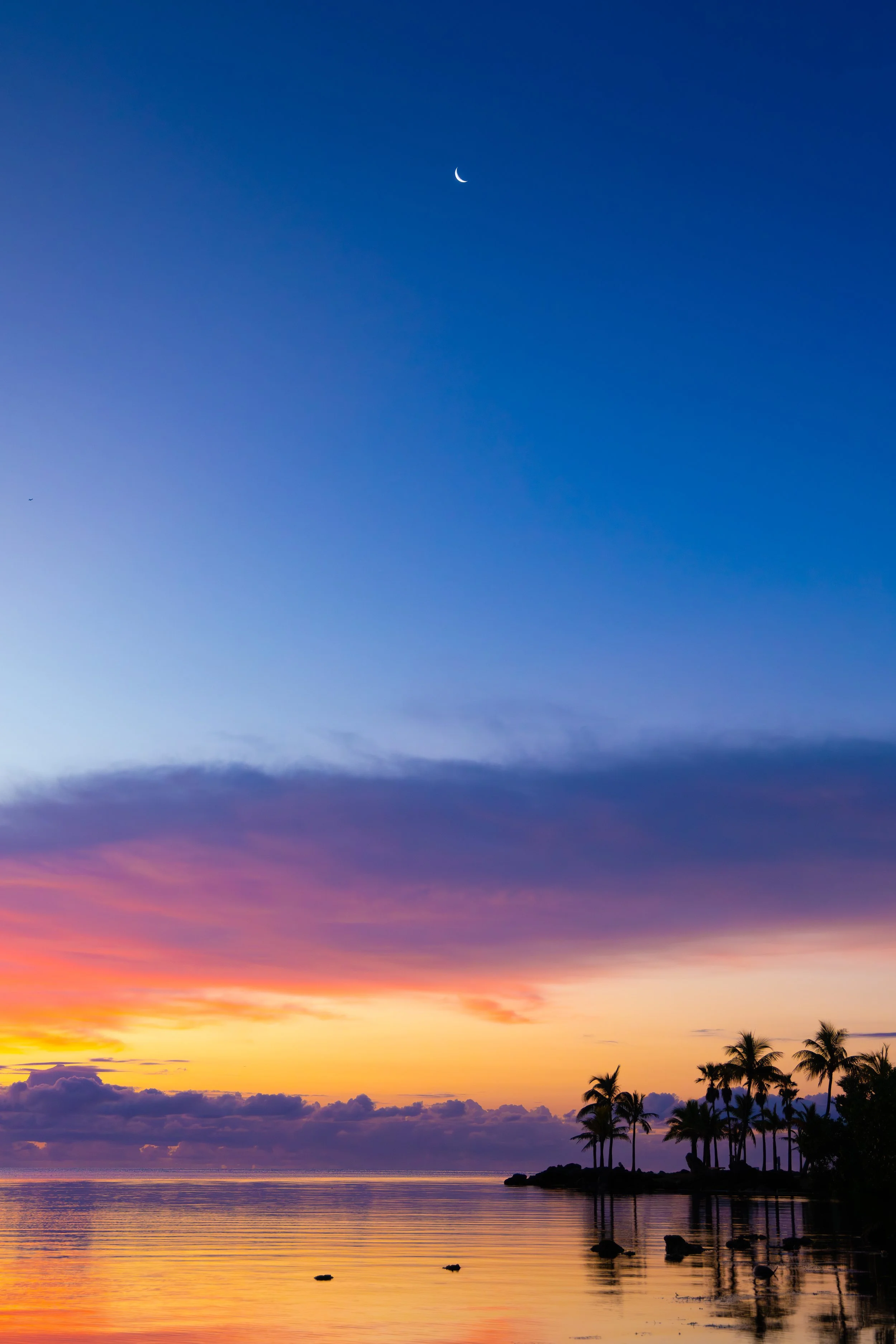 7I1A0042 sunrise Moon 1 web.jpg